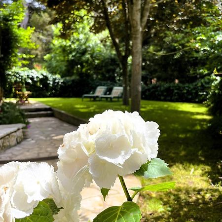 Apartment Balthazar Rovinj Zewnętrze zdjęcie