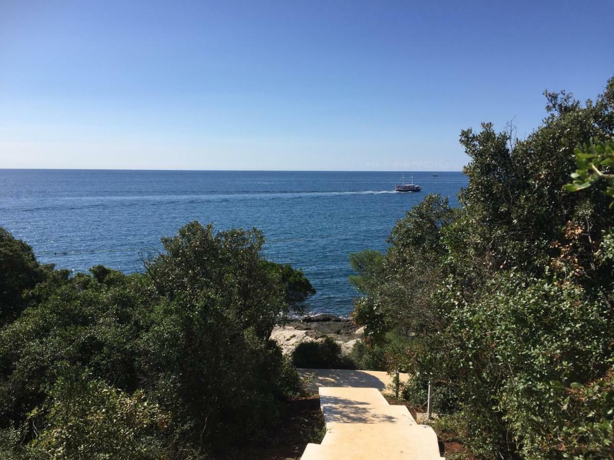 Apartment Balthazar Rovinj Zewnętrze zdjęcie